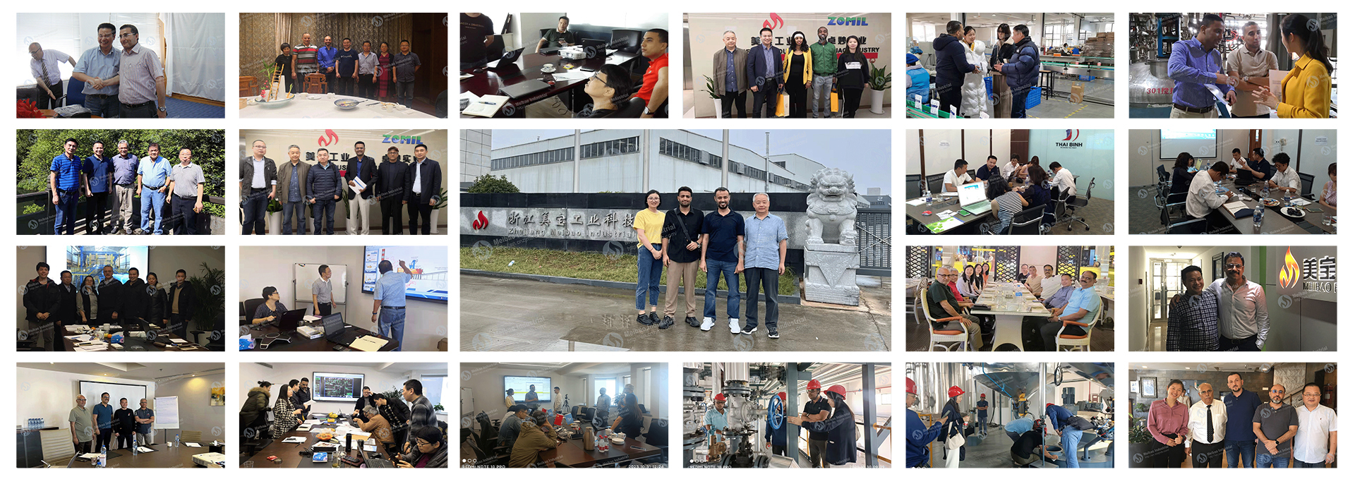 Qualität Reinigende Pulverfertigungsstraße usine