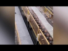 Trockenprozess-Natriumsilicat-Ofen / Maschine zur Herstellung von festem Natriumsilicat