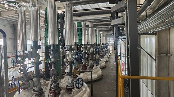 Wet Process Liquid Sodium Silicate Production Line Customized